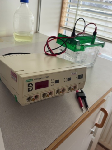 1549158-8 Elektroforessystem – Bio-Rad GelDoc Go, PowerPac 300 och Criterion Cell med spänningsomvandlare