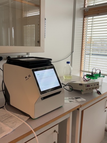 1549158-17 Elektroforessystem – Bio-Rad GelDoc Go, PowerPac 300 och Criterion Cell med spänningsomvandlare