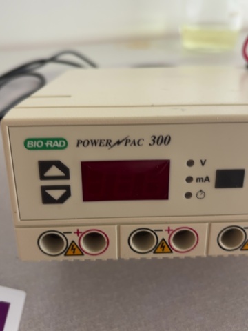 1549158-9 Elektroforessystem – Bio-Rad GelDoc Go, PowerPac 300 och Criterion Cell med spänningsomvandlare