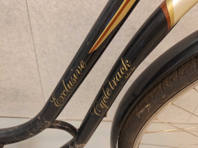 1485842-53 Cyklar med service- och reparationsbehov, 12st