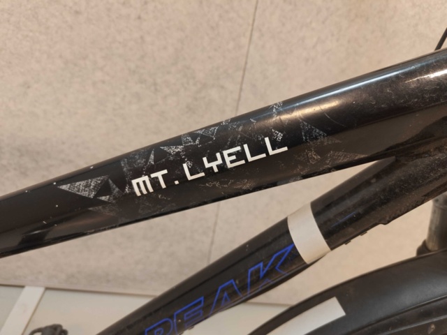 1485842-60 Cyklar med service- och reparationsbehov, 12st