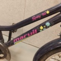 1485842-76 Cyklar med service- och reparationsbehov, 12st