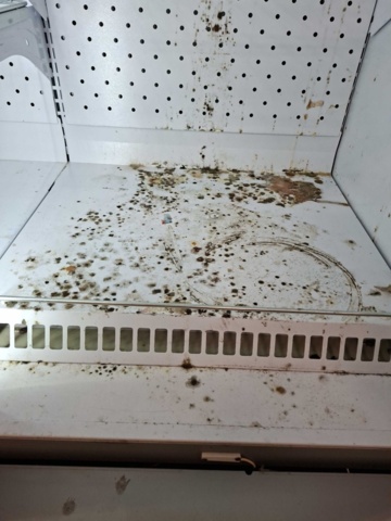1537790-14 Frys Blizzard