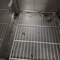 1537858-14 Dubbelfrys Tefcold RF1420