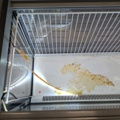 1537791-9 Drickakyl Viessmann