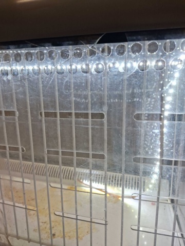 1537791-21 Drickakyl Viessmann