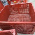 359891--3 2x plastic crates. Allibert