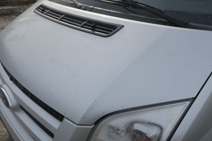 255279--15 Ford Transit 115 T300 (116hk) - 2011