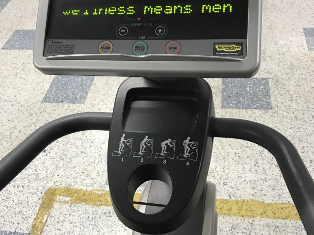 385821-3 Technogym Wave