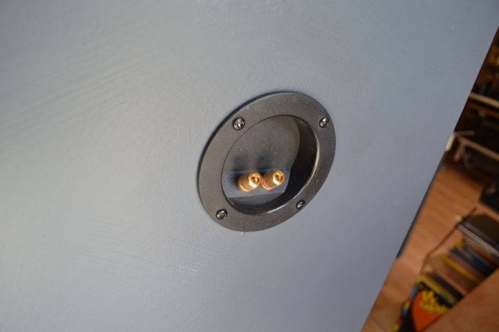 385396-3 Richard Allan, speaker, used, good looking. Free shipping