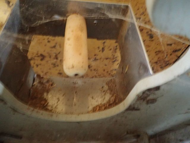 355421-16 Kalvammare DELAVAL