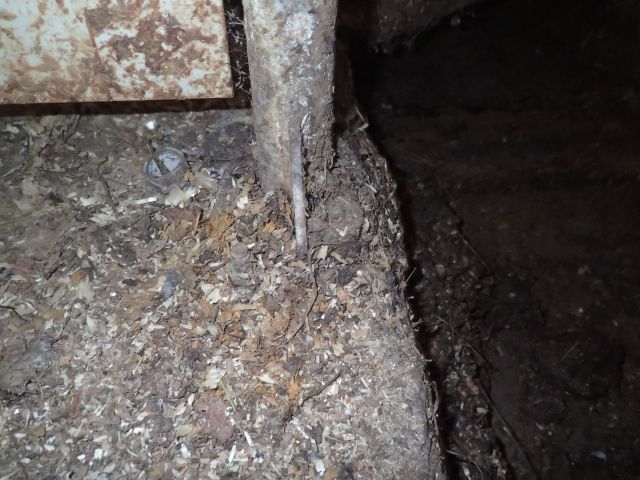 355421-18 Kalvammare DELAVAL