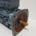 323121-3 Motor Nord SK 100LH/4 CUS TW