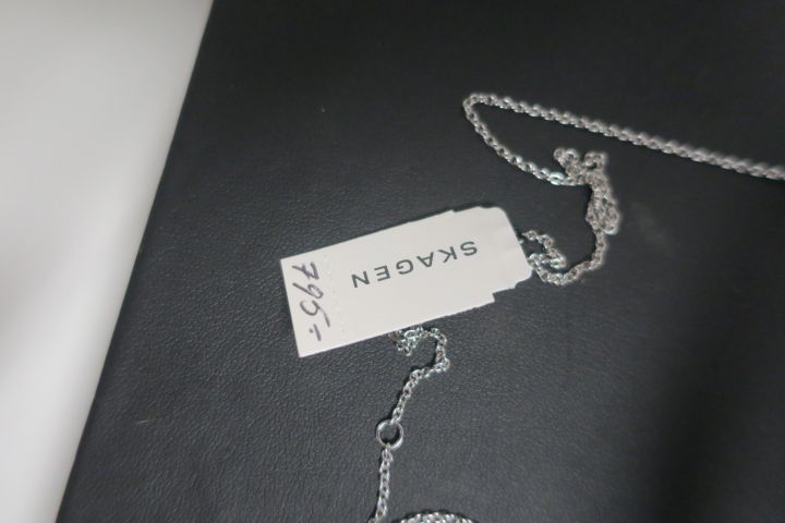389726-3 Halsband Skagen (Fri frakt)