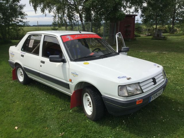 393906-1 Rally Car Peugeot 309 GLX