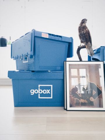 408789-1 Liquidation item: 5 x Gobox stacking and container boxes. Free shipping