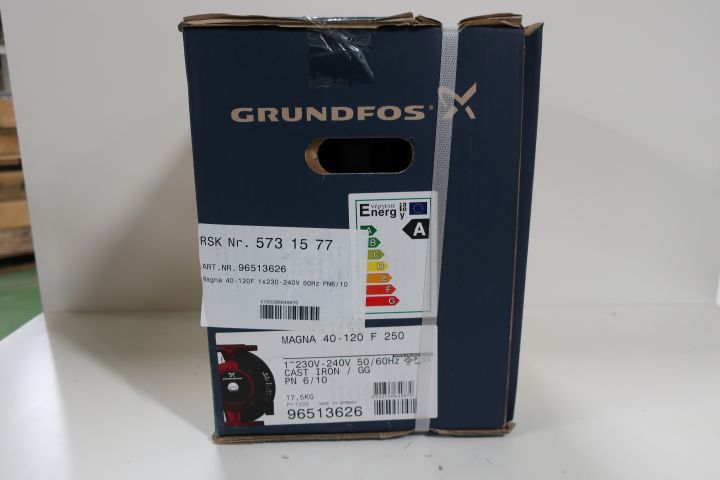 421489-2 Circulation pump Grundfos Magna 40-120 F 250