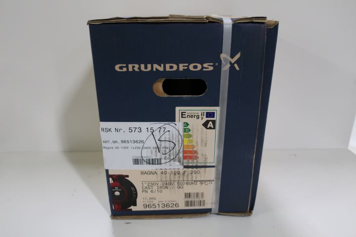 421491-2 Circulation pump Grundfos Magna 40-120 F 250