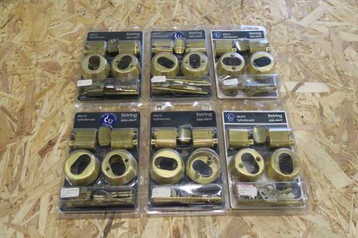 428695-1 6-cylinder Trioving Assa Abloy 1225 brass