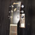 400555-5 Acoustic Guitar Ibanez PF17-LG