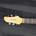 400676-4 Electric Guitar Ibanez TM-302 IV