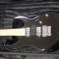 400688-2 Electric Guitar Ibanez Premium RG 821
