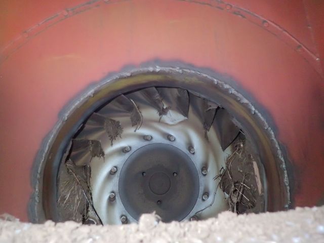 402887-15 RAUSSI Trailer