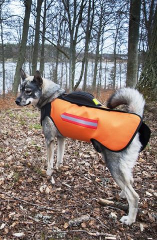 431516-2 Jaktväst Dogtech euro. Strl: XS  orange