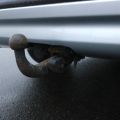 433465-28 Volvo XC70 3.2L Petrol, Automatic, Towbar -2009