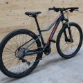 430881-2 Bicycle MTB Specialized Jynx Expert