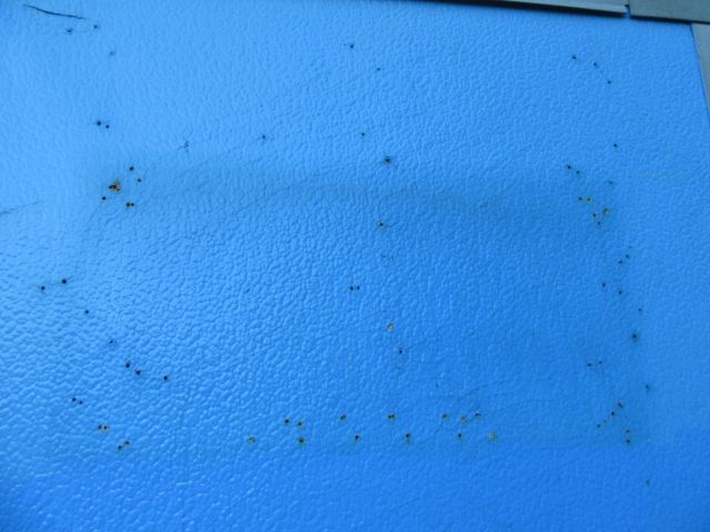 415405-13 Mobile toilet / rent-toilet