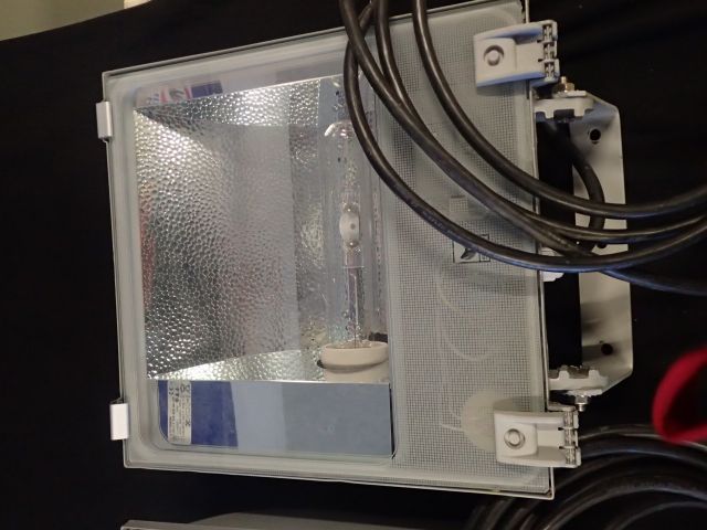 400984-5 2st universal universal light bulb SBP JOLLY 2