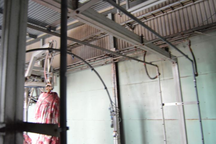 419173-8 Car wash with tracks