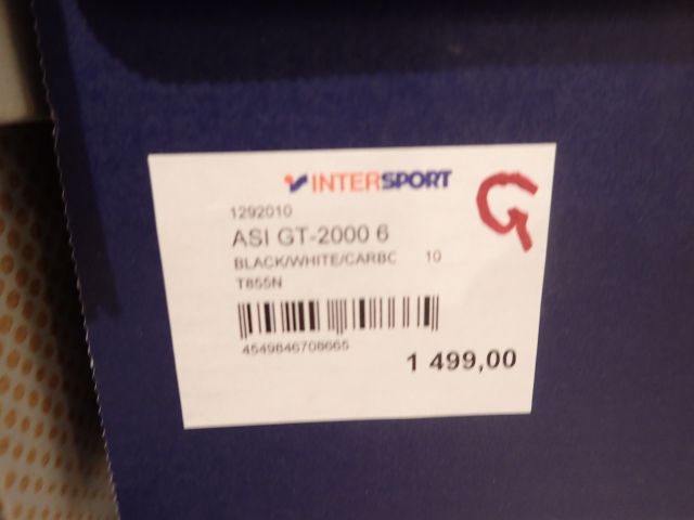 404169-21 Big party with shoes Asics