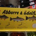 377555-2 Jigg-bar for perch & noble fish