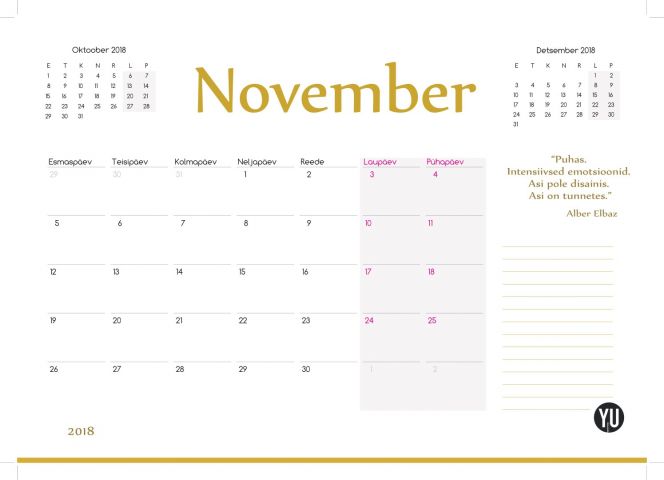 460519-25 Fashion calendar 2018 – 1500pcs