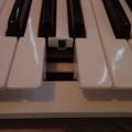 401268-6 Roland BK-3 White