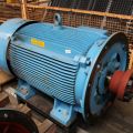 473823-1 Electric Motor WEG (250kW)