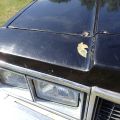 465559-20 Chevrolet Caprice Classic -79 Reg No: KAT999