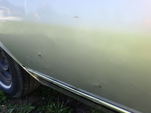 465559-37 Chevrolet Caprice Classic -79 Reg No: KAT999
