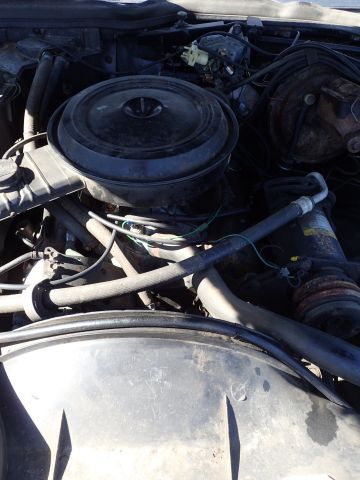 465559-43 Chevrolet Caprice Classic -79 Reg No: KAT999