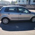 449948-5 WV Polo - (WGX288)