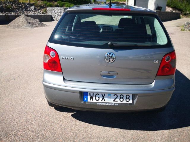 449948-7 WV Polo - (WGX288)