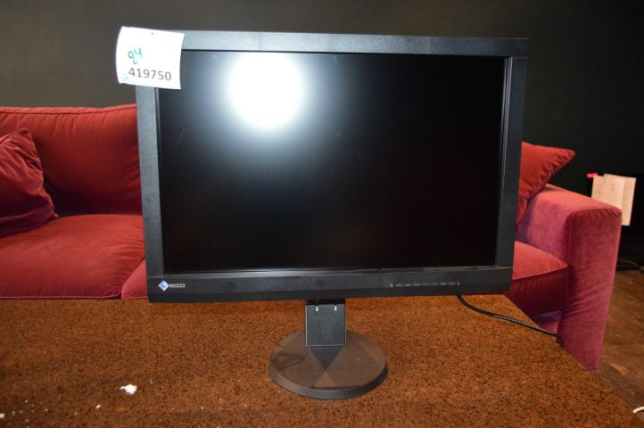 419750-1 Screen 24 inches Eizo