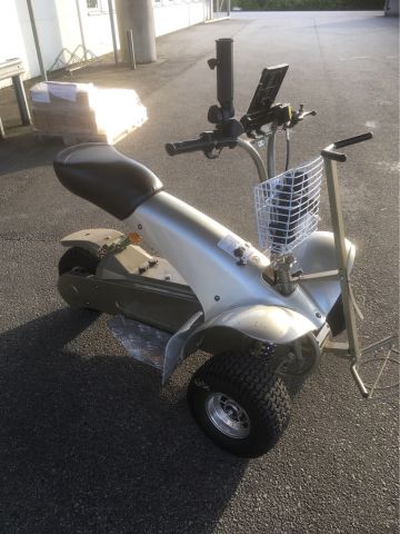 474233-2 Golfcruiser