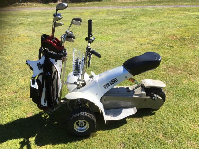 474233-1 Golfcruiser