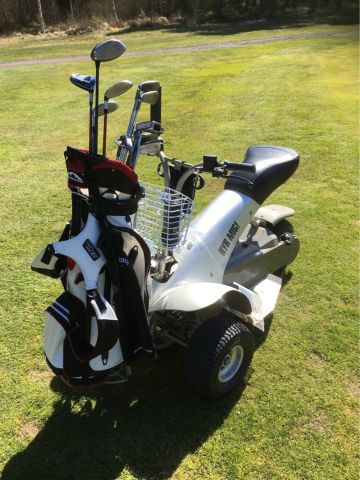 474233-3 Golfcruiser