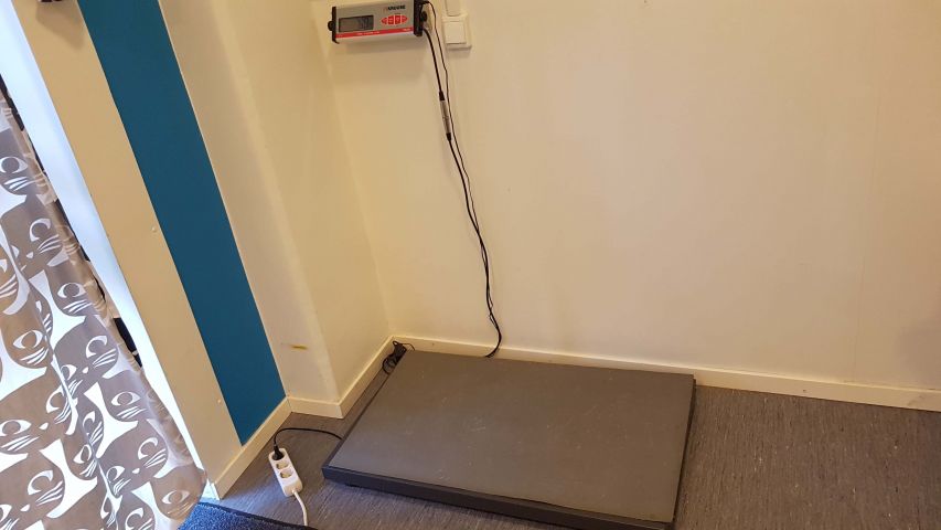 494505-1 Kruuse Veterinary Walk-On Platform Weigh Scales PS250