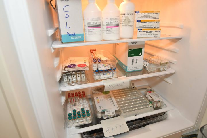 494746-18 Medical Equipment - ONLY BUYER WITH PRIVATE LAW !!