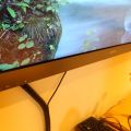 487913-3 LCD-TV 55" Sony KDL-55EX500